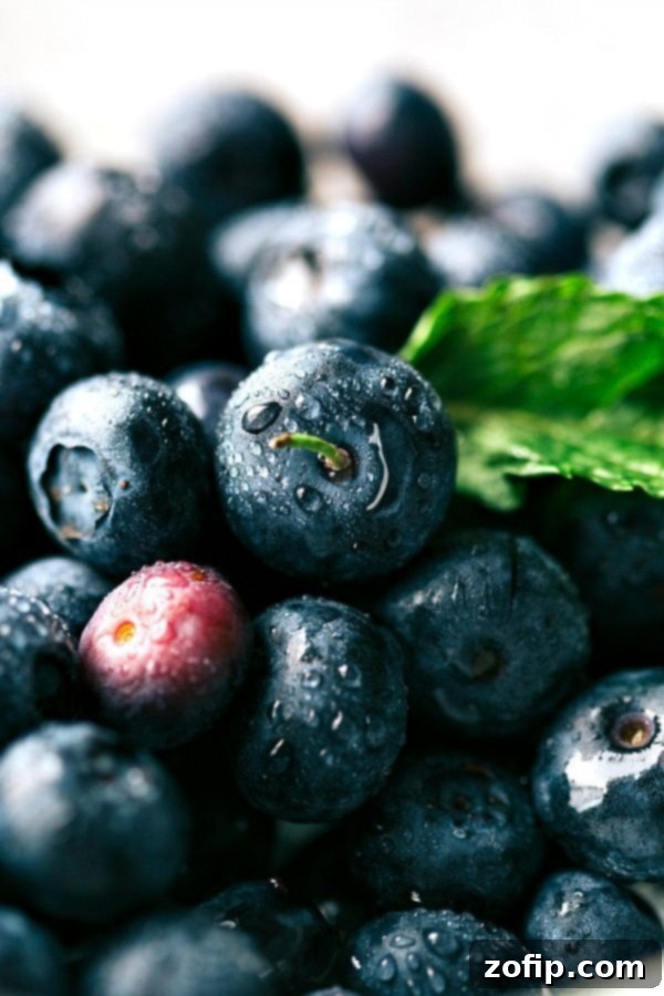 Close-up of a refreshing blueberry-lime spritzer, highlighting the vibrant purple color and bubbly texture. The drink is non-alcoholic and garnished with fresh mint.