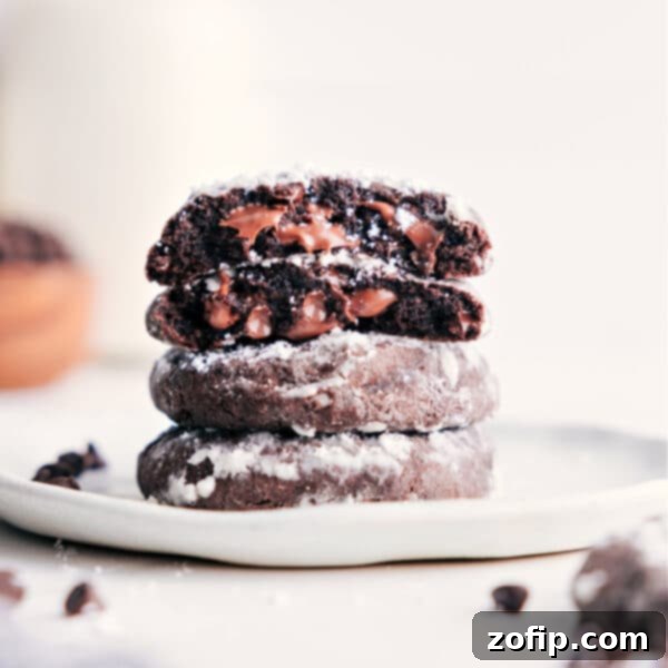 Chocolate Crinkle Cookies