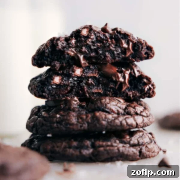 Chocolate Cookies Recipe