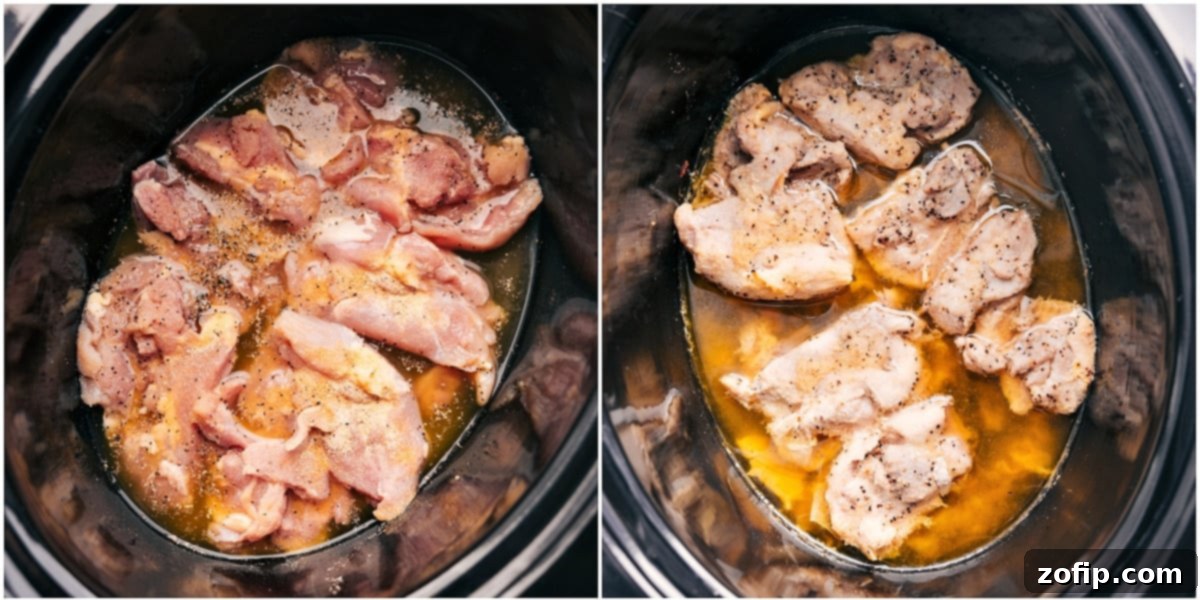 Chicken thighs, seasonings, and broth in a slow cooker.