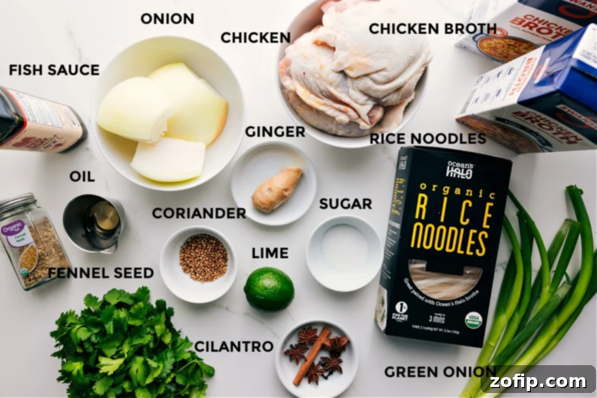Chicken Pho Delight 3 All the ingredients in this recipe prepped out for easy assembly including the fish sauce, oil, fennel seed, cilantro, onion, coriander, chicken, ginger, lime, sugar, rice noodles, green onion, and chicken broth.
