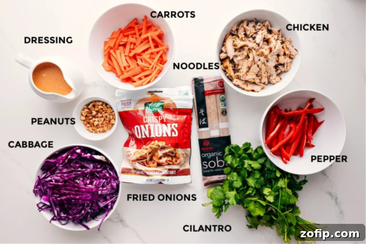 All the ingredients in this recipe prepped out for easy assembly including the dressing, peanuts, cabbage, fried onions, carrots, noodles, chicken, pepper, and cilantro.