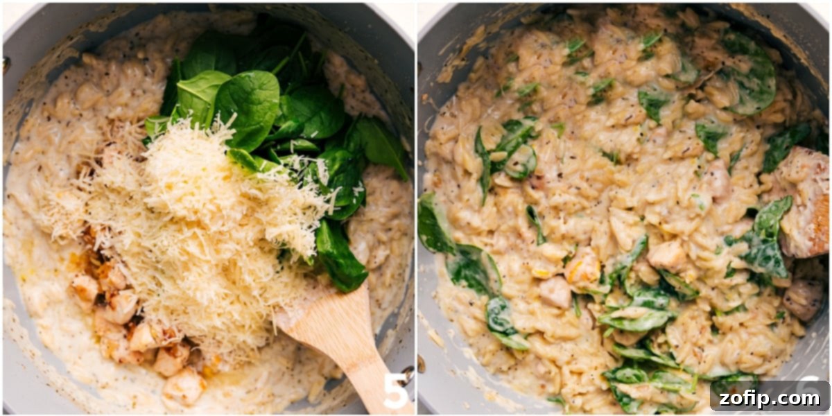 Finished Lemon Chicken Orzo