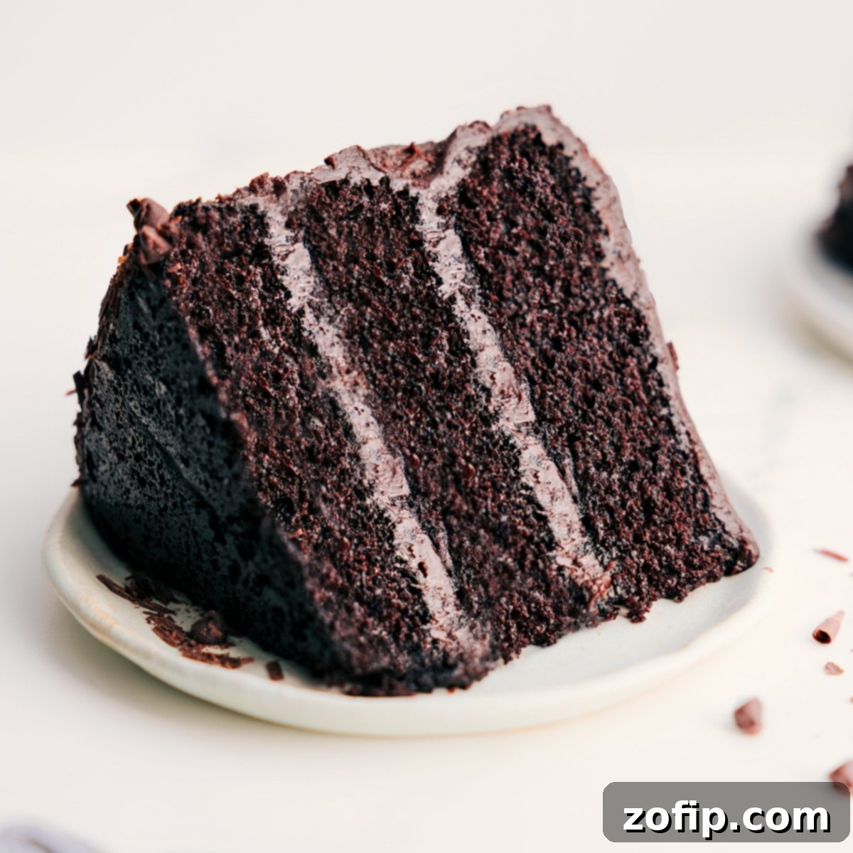 Chocolate Cake Slice