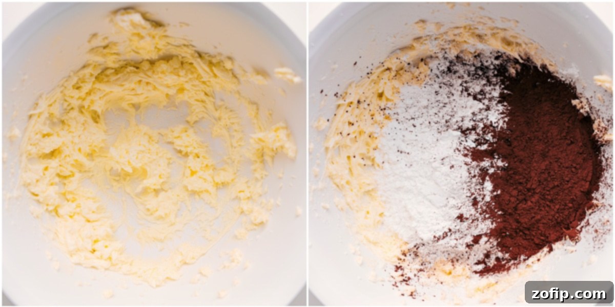 How To Make Chocolate Buttercream Frosting Recipe Mixing the ingredients for chocolate buttercream frosting in a bowl.